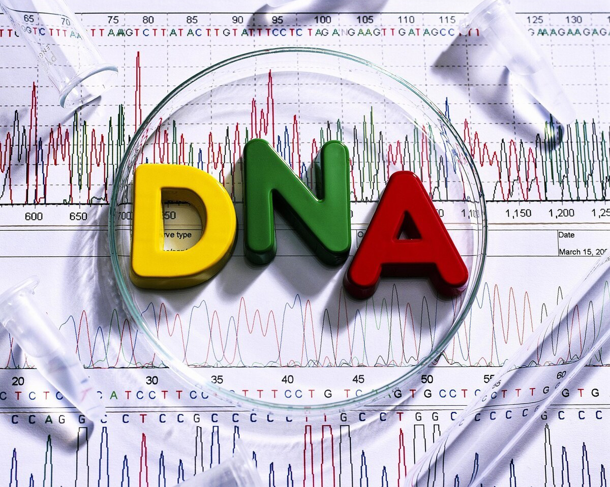 亲子鉴定是否可靠？郑州DNA鉴定技术解密